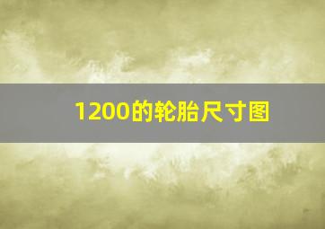 1200的轮胎尺寸图