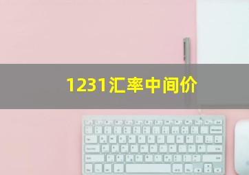 1231汇率中间价