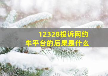 12328投诉网约车平台的后果是什么