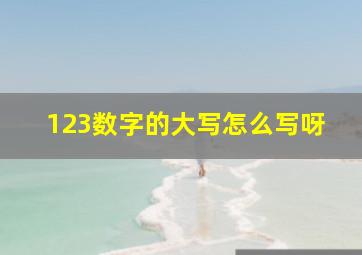 123数字的大写怎么写呀