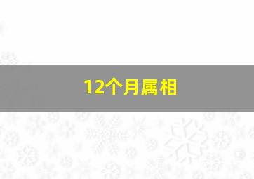 12个月属相