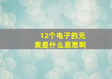 12个电子的元素是什么意思啊