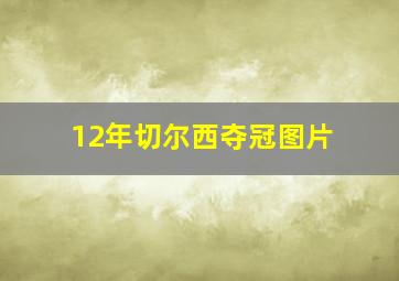 12年切尔西夺冠图片