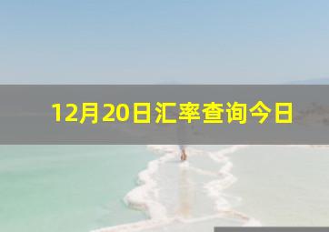 12月20日汇率查询今日