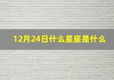 12月24日什么星座是什么