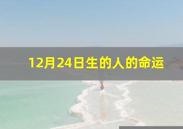 12月24日生的人的命运