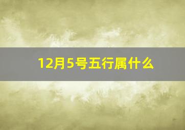 12月5号五行属什么