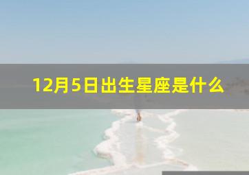 12月5日出生星座是什么