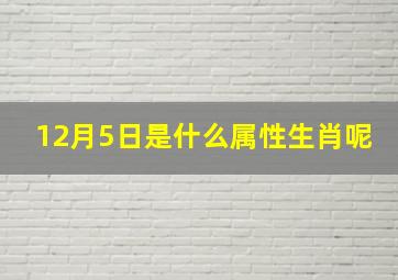 12月5日是什么属性生肖呢