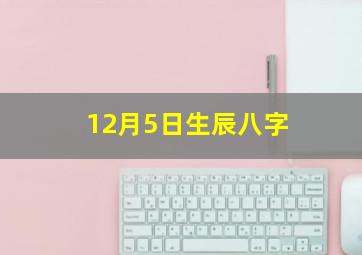 12月5日生辰八字