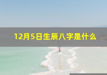 12月5日生辰八字是什么