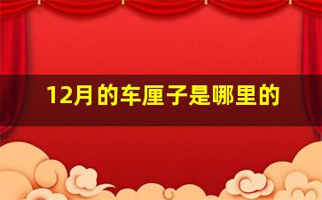 12月的车厘子是哪里的