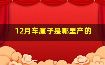 12月车厘子是哪里产的