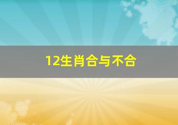 12生肖合与不合