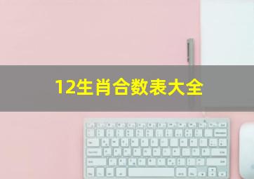 12生肖合数表大全