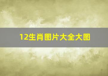 12生肖图片大全大图