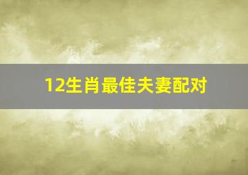 12生肖最佳夫妻配对