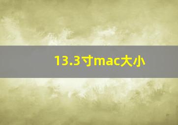 13.3寸mac大小