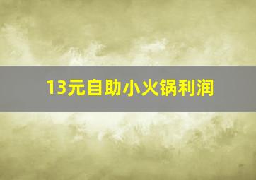 13元自助小火锅利润