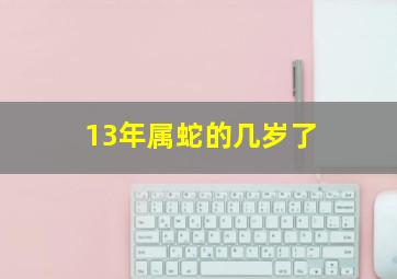 13年属蛇的几岁了