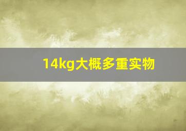 14kg大概多重实物