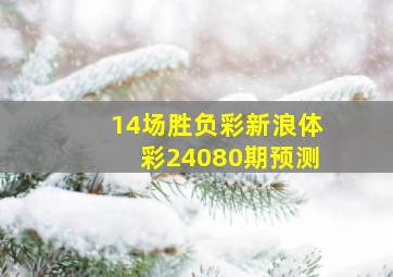 14场胜负彩新浪体彩24080期预测