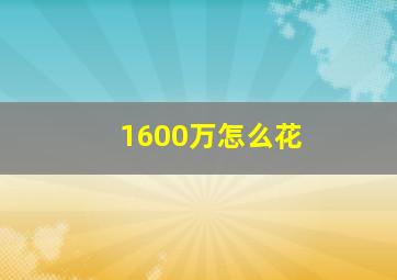 1600万怎么花