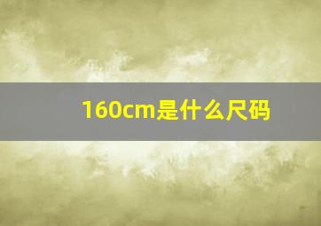 160cm是什么尺码