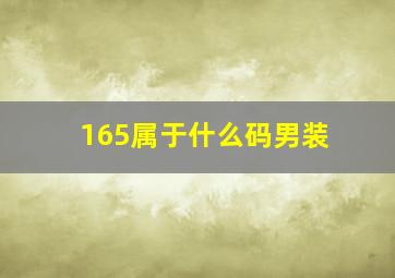 165属于什么码男装