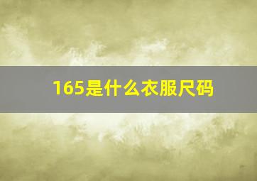 165是什么衣服尺码