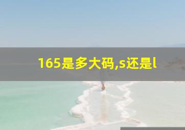 165是多大码,s还是l