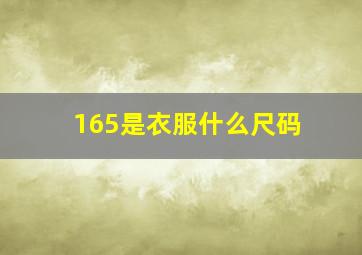 165是衣服什么尺码