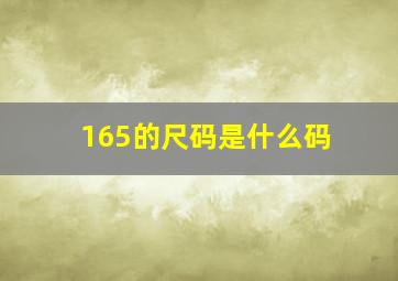 165的尺码是什么码