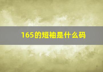 165的短袖是什么码