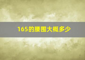 165的腰围大概多少