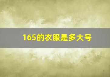 165的衣服是多大号