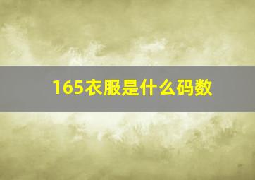 165衣服是什么码数