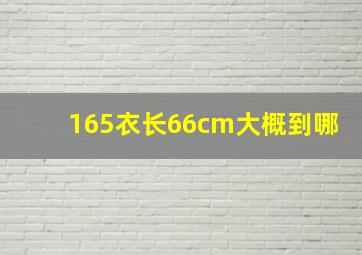 165衣长66cm大概到哪