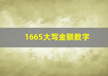 1665大写金额数字