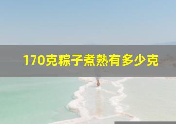 170克粽子煮熟有多少克