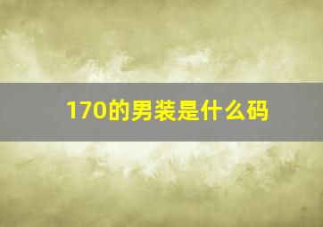 170的男装是什么码