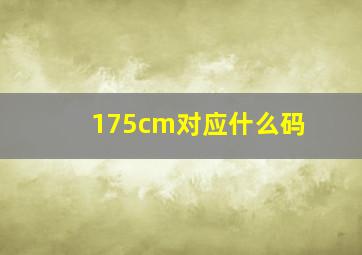 175cm对应什么码