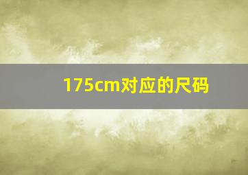 175cm对应的尺码