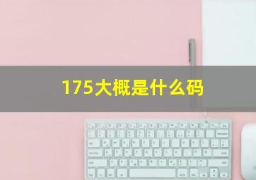 175大概是什么码