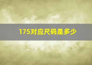 175对应尺码是多少