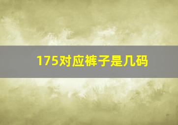 175对应裤子是几码