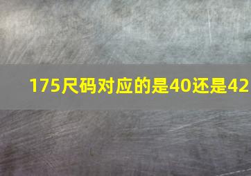 175尺码对应的是40还是42