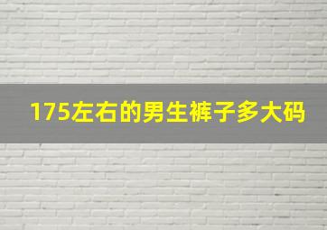 175左右的男生裤子多大码