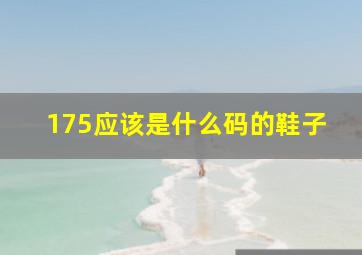 175应该是什么码的鞋子