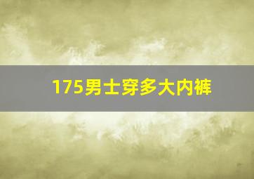 175男士穿多大内裤